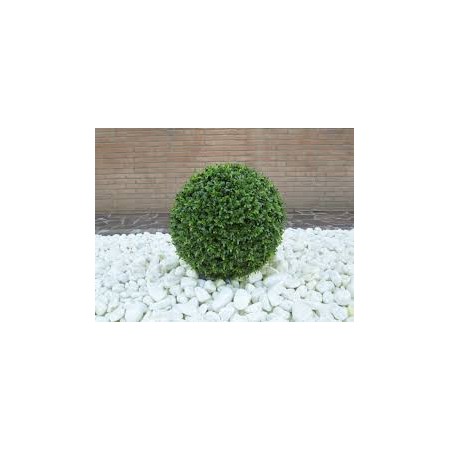 SFERA ERBA ART. C/42 LUCI DIAM. 30