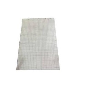 FOGLI A QUADRETTI PER FLIPCHART PZ.2O