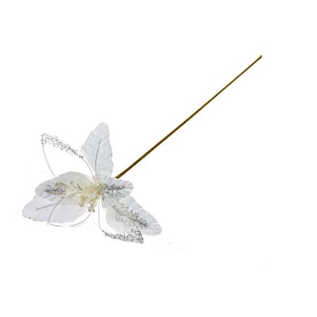 STELLE GAMBO LUNGO BIANCO