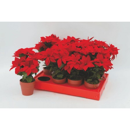 VASETTO 6 STELLE NATALE CM.3