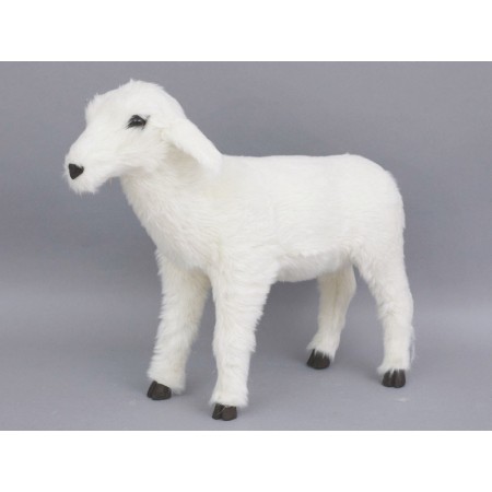 AGNELLO BIANCO CM.75X32X60H