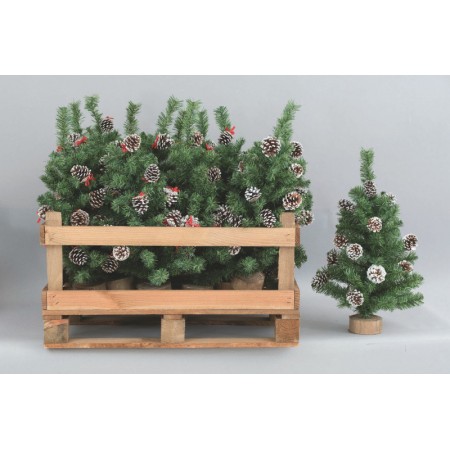 ALBERINO PVC CM.80 VERDE C/P