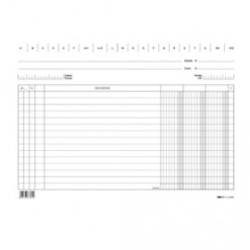 SCHEDE 3 COLONNE 17X24 FG100