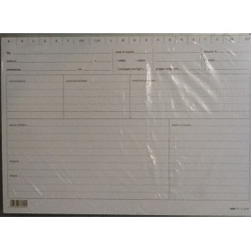 SCHEDE X MEDICI GEN. 17X24 PZ 100