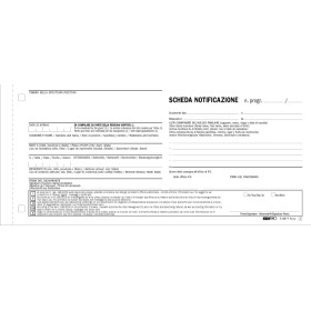 SCHEDE DI NOTIFICA 200 4 LINGUE 3 COPIE