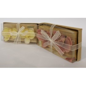 CANDELA FIORI COLORI ASS..