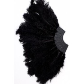 VENTAGLI CON PIUME E BUSSOLA