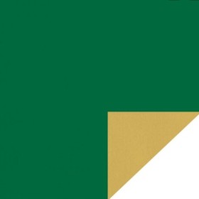 CARTA REGALO KRAFT VERDE CHIARO 5KG (PREZZO PER CHILO)