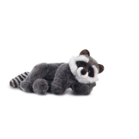 PACO ORSETTO LAVATORE