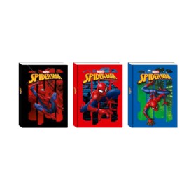 DIARIO STD SPIDERMAN 10 MESI