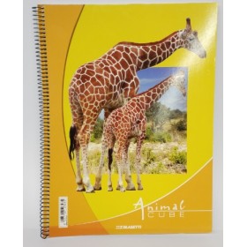 MAXI FG 40 SPIRALE 4 FORI 4MM