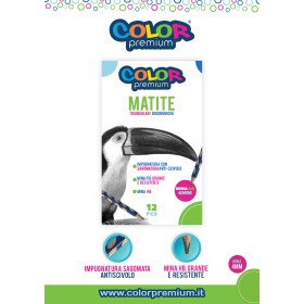 MATITE ERGONOMICHE X12  COLOR PREMIUM