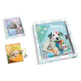 DIARI SEGRETI 80 PAGINE