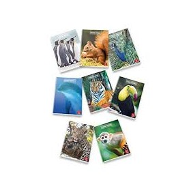 MAXI C PIGNA/BLASETTI