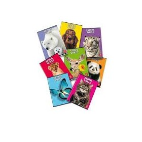 MAXI 1CM PIGNA/BLASETTI