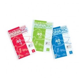 RICAMBI 21X31 1R RINF. PIGNA/BM