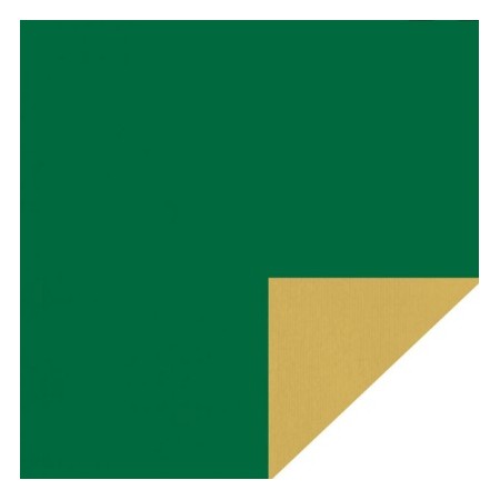 CARTA REGALO KRAFT VERDE CHIARO 5KG (PREZZO PER CHILO)