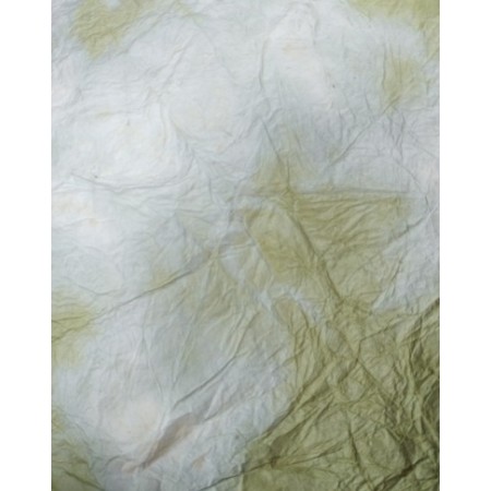 CARTA STRECH 50X70  VERDE CHIARO