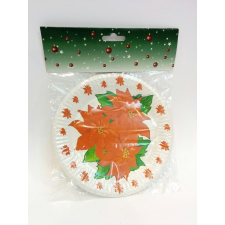 PIATTI PICCOLI NATALIZI