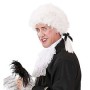 PARRUCCA MOZART