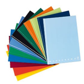 REGISTRI CART. 21X31 100FG 4MM BLASETTI