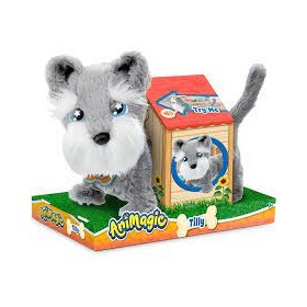 AM TILLY THE TERRIER