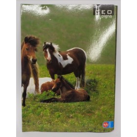 CARPETTE C/ELASTICO 24X34 PIGNA GEO