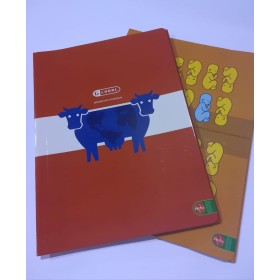 CARPETTE C/ELASTICO 24X34 GLOBAL