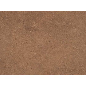 CARTA TERRA DEL DESERTO