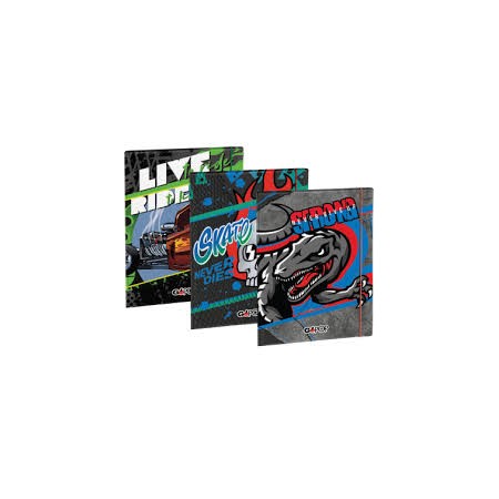 CARPETTE UNIV.21X31 GOPOP ASS. BOY