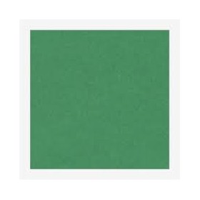 CARTONCINO 70X100 LISCIO/RUVIDO ARTGRAF VERDE