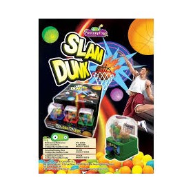 SLAM DUNK PZ.12