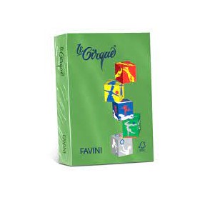 CARTONCINO A4 160 GR. FAVINI QUADRIFOGLIO 207