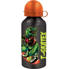 BORRACCE TERMICHE 500ML T-SKATEX