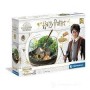 TERRARIUM HARRY POTTER