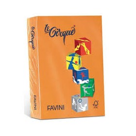 CARTONCINO A4 160 GR. FAVINI ARANCIO205
