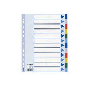SEPARATORI IN PPL A4 12 TASCHE COLORATI