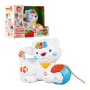 GATTO MUSICALE TRAINABILE C/LUCI E VERSI