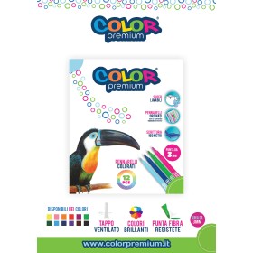 PENNARELLI COLOR PREMIUM X12
