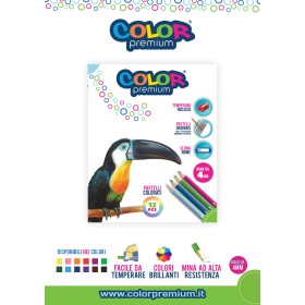 PASTELLI LEGNO COLOR PREMIUM X12