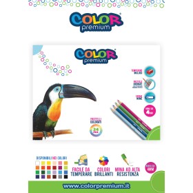 PASTELLI LEGNO COLOR PREMIUM X24