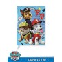 DIARI PAW PATROL