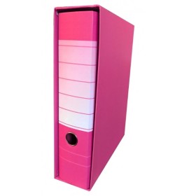 RACCOGLITORI A CASS. D.8 EUROPA FUXIA