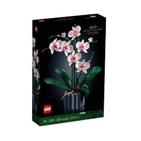 10331 ORCHIDEA