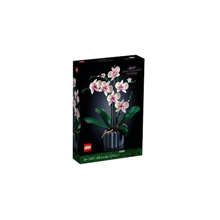 10331 ORCHIDEA