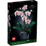10331 ORCHIDEA