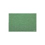 CARTA CRESPATA PESANTE VERDE MENTA 565
