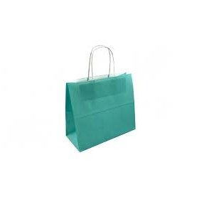 BUSTE C/MANICO 24+11*21 VERDE ACQUA PZ.50