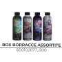 BORRACCE SEVEN WRITE DOWN 2026