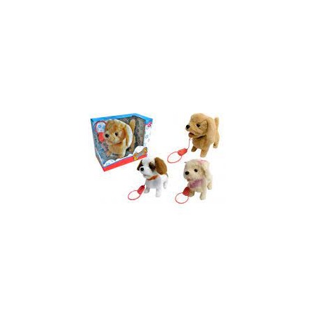 CANE FILOGUIDATO DOG FRINDS